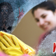 Image for article titled New Windex Formula Removes Menacing Apparitions From Mirror
